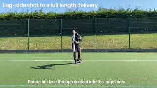 Scoring through the leg side screenshot 5