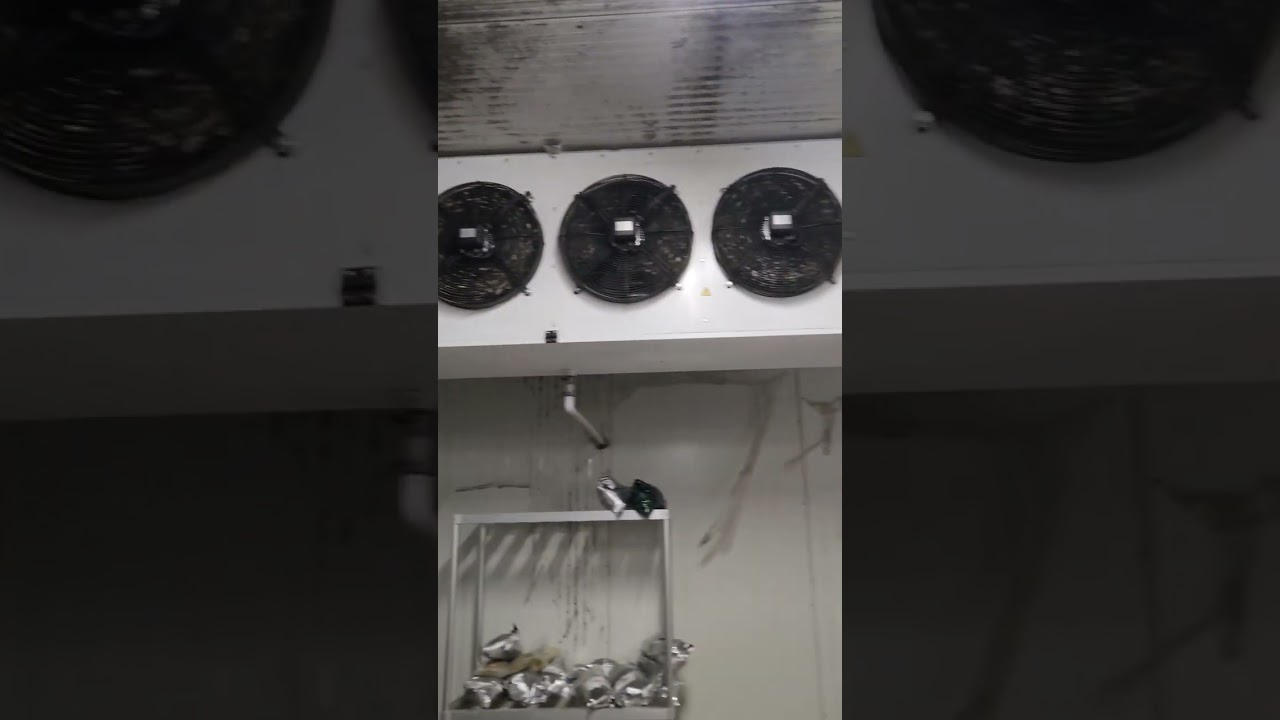 Lot # BB-0151: 20' x 40' Walk-In Refrigerator (External Condensor, Fully Functioning, 220v)