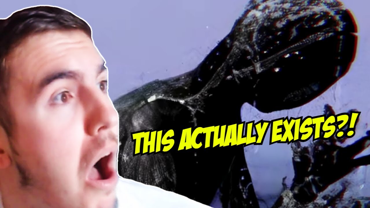 10 TERRIFYING SEA CREATURES THAT ACTUALLY EXIST - YouTube
