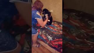 video 0 02 05 3f826aa64e7d8369f1d5a47465033e4eed54e8d2d95ae15aab6538edf7a9b641 V video 0 02 05 3f826aa64e7d8369f1d5a47465033e4eed54e8d2d95ae15aab6538edf7a9b641 V
