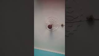 no caption need for this  #algoritham #chennai #ipl #viral #status