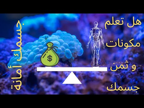 جسمك أمانة 01 مكونات الجسد البشري و ثمنها 