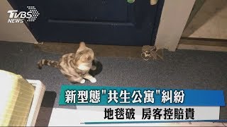 新型態「共生公寓」糾紛 地毯破 房客控賠貴