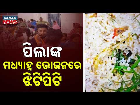 Puri School Mid-Day Meal Incident | Over 30 Students Fall Ill After Lizard Found in Food