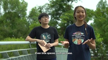 Environmental Studies | XDP@CHS Major