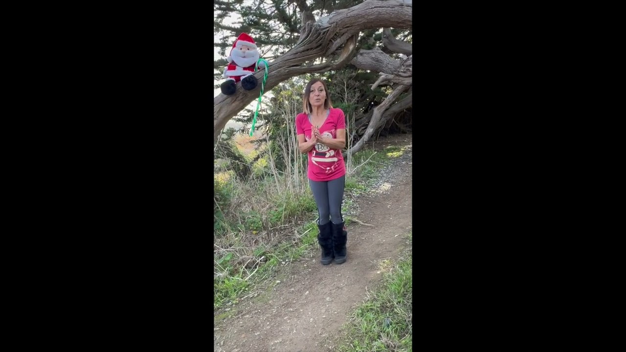 Santa Fitness Challenge#6 Reindeer Training