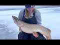 She pulls up a 30lb northern pike