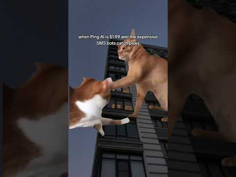 when Ping AI is $1.99 and the expensive SMS bots catch paws