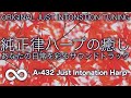 【リラックス・空間を整える音】余計な力が抜けていく、静かな純正律のヒーリング音楽｜A=432Hz・インテリアBGM 🌿
