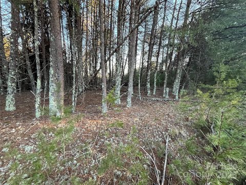 2370 Big Island Road, Rutherfordton, NC home video tour