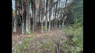 2370 Big Island Road video tour