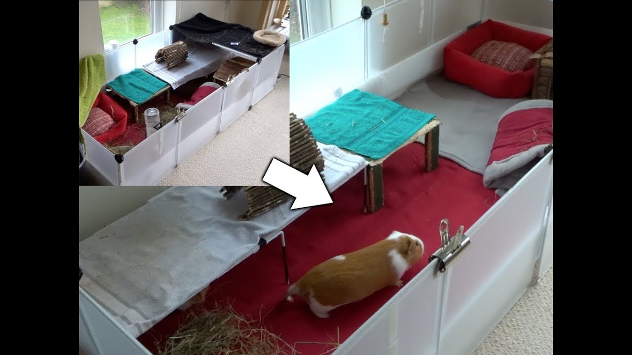 Expanding Our C&C Cage