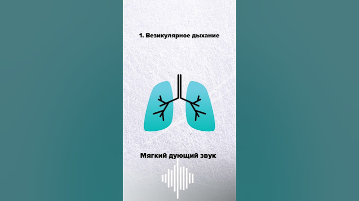ТАЙНА РАСКРЫТА / Что слышат врачи в легких? #тайнараскрыта #влегких