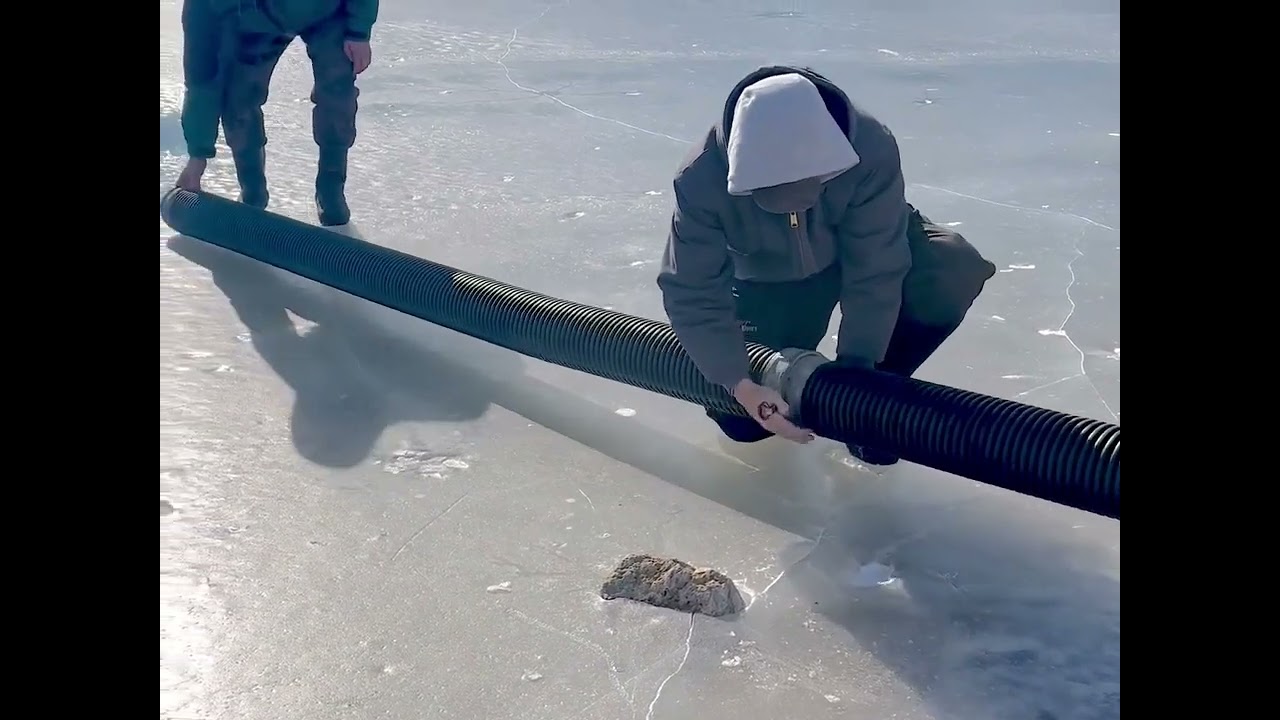 DNR Trout Stocking at Terra Park Winter 2024