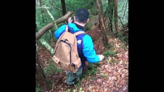 尾鈴山の秘境探索‼️滝 宮崎 都農 滝尾鈴瀑布群 秘境 JUNGLE