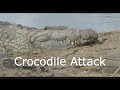 Unbelievable crocodile attack caught on camera
