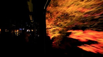 叡山電鉄 「もみじのトンネル」　市原～二ノ瀬　Tunnel of the maple, Eizan Railway, Kyoto　(2021.11)