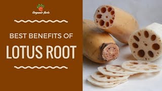 Amazing Health Benefits Of Lotus Root | Lotus Root Nutrition Facts