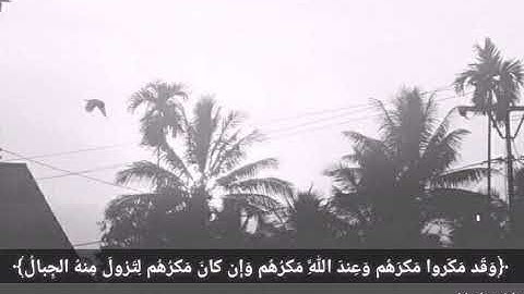 حالات واتس انستغرام//سورة إبراهيم _آية ٤٦_ رعد -الكردي -