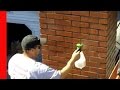 Waterproofing Chimneys Waterproofing Chimneys