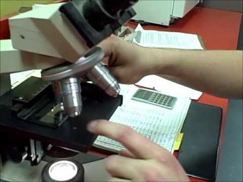 Instructional Video: Collecting Boar Semen - YouTube