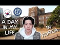 A Day in the Life of an Exchange Student in Korea | Yonsei University Study Abroad | 연세대 교환학생 브이로그