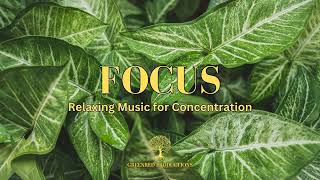 Relaxing Focus Music for Studying, Background Work Music