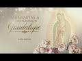 11 de diciembre a las 11pm estaré cantándole a nuestra Morenita como cada año en su día especial