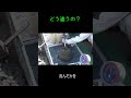 どう違うの?#Shorts