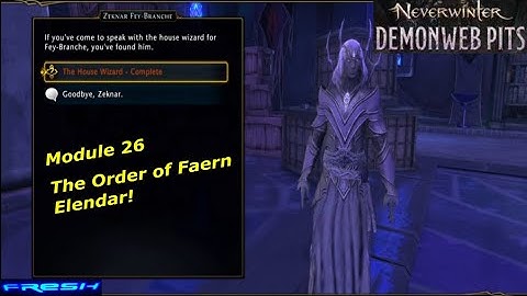 Neverwinter Mod 26 - House Wizard Quests - Demonweb Pits Thaum Wizard 80k Gameplay