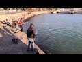 Рыбалка Туапсе 2022 форель https://youtu.be/hSZee_g-mzY