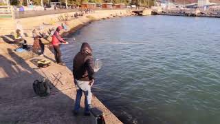 Рыбалка Туапсе 2022 форель https://youtu.be/hSZee_g-mzY