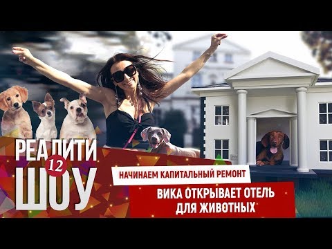 Начинаем капитальный ремонт. Вика открывает отель для животных