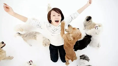 明星孙俪和她的狗狗们 Actress Sun Li and Her Puppies - 天天要闻