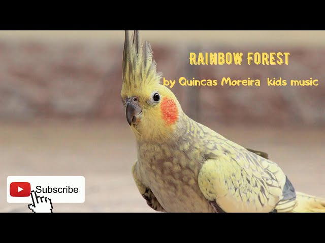 [Copyright Free] ♪♫ Rainbow Forest ♫♪ kids positive music BY Quincas Moreira class=