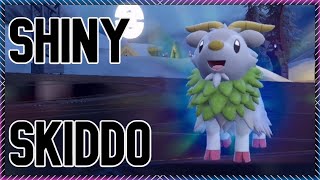 [LIVE] SHINY SKIDDO/GOGOAT FULL ODDS!!!!! POKEMON SCARLET/VIOLET