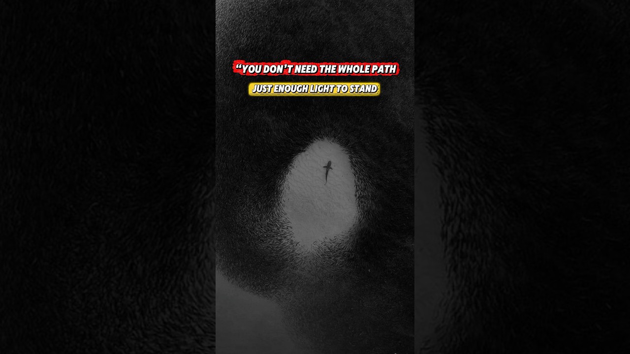 Just Enough Light🔥