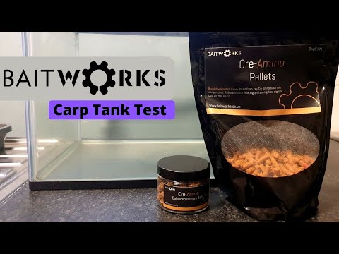 Carp Tank - The Baitworks Review