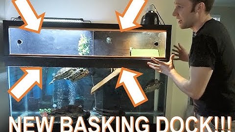 Update! 75 Gallon Turtle Tank with Above Tank Basking Platform