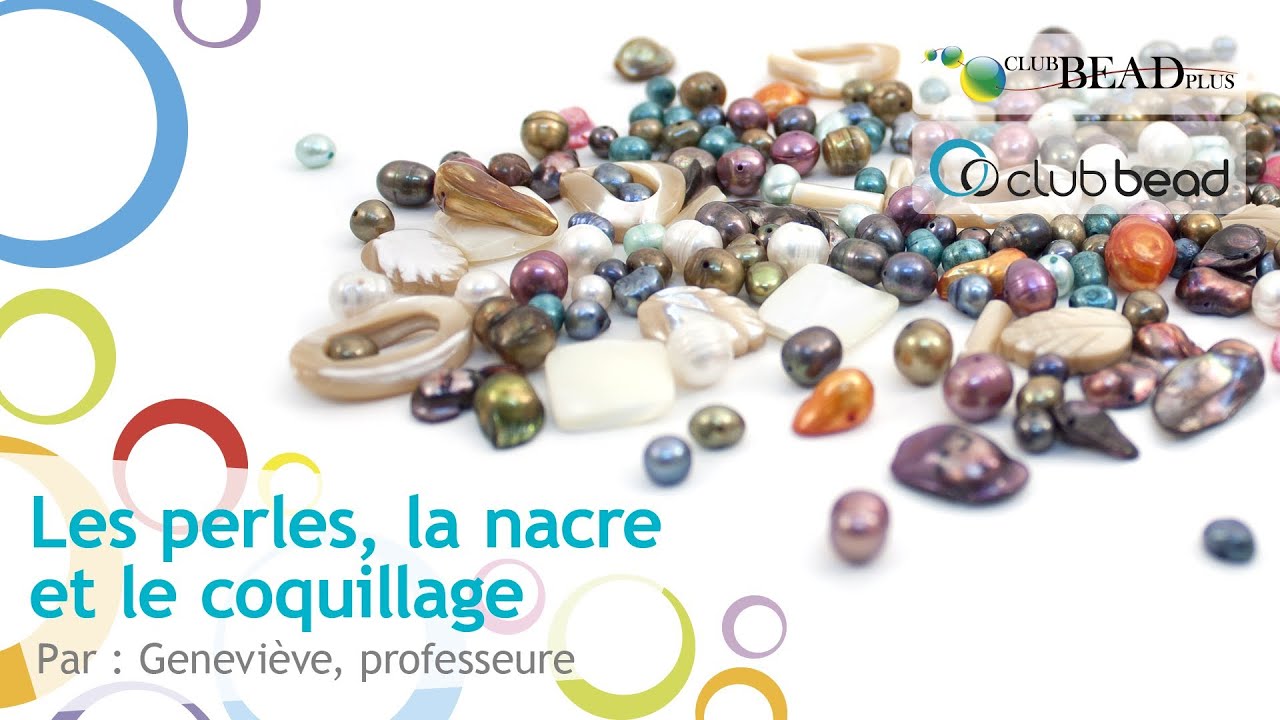 Dans Quel Coquillage Trouve T On Des Perles