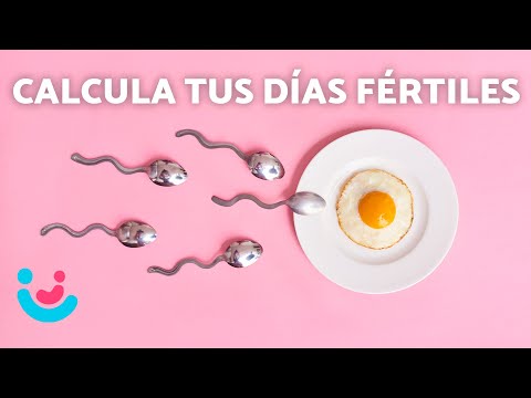 Vídeo: Diferencia Entre Fertilidad Y Ovulación