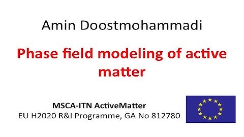 Phase field models of active systems - Amin Doostmohammadi - MSCA-ITN ActiveMatter