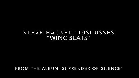 Steve Hackett Track Chat - "Wingbeats" from 