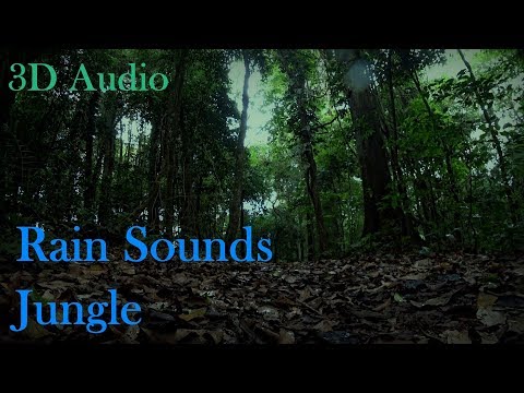 Black Screen: Gentle Rain Sounds on Leaves in Jungle (3D Binaural Audio)
