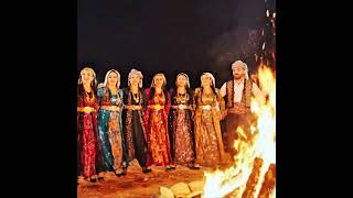 Gece Kamp Ateşinin Etrafında Halay Grubumuzun Muhteşem Gösterisi 4