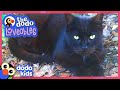 Cat Takes Over Lady’s Backyard And Invites Friends! | Dodo Kids | Loveables