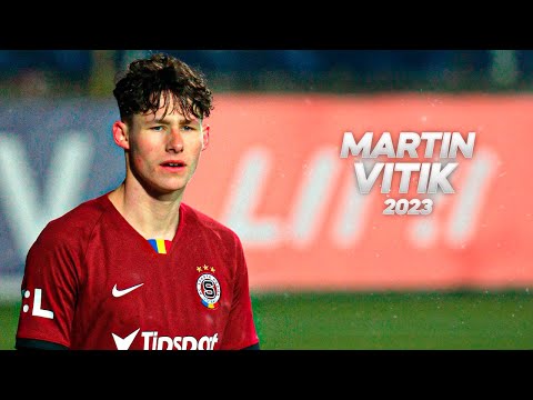 Martin Vitik Skills