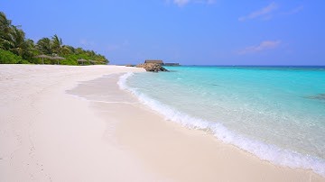 🏝 Paradise Found: Wild Beach and Crystal Ocean Waters. Relaxing Ocean video 4K Ultra HD