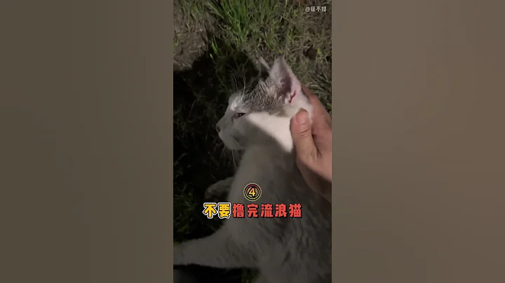 春天猫咪最想告诉你的六件事 #科学养宠攻略 #新手养猫 #猫  猫奴十三 - 天天要闻