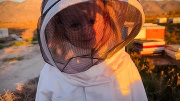 The cutest little Beekeeper 